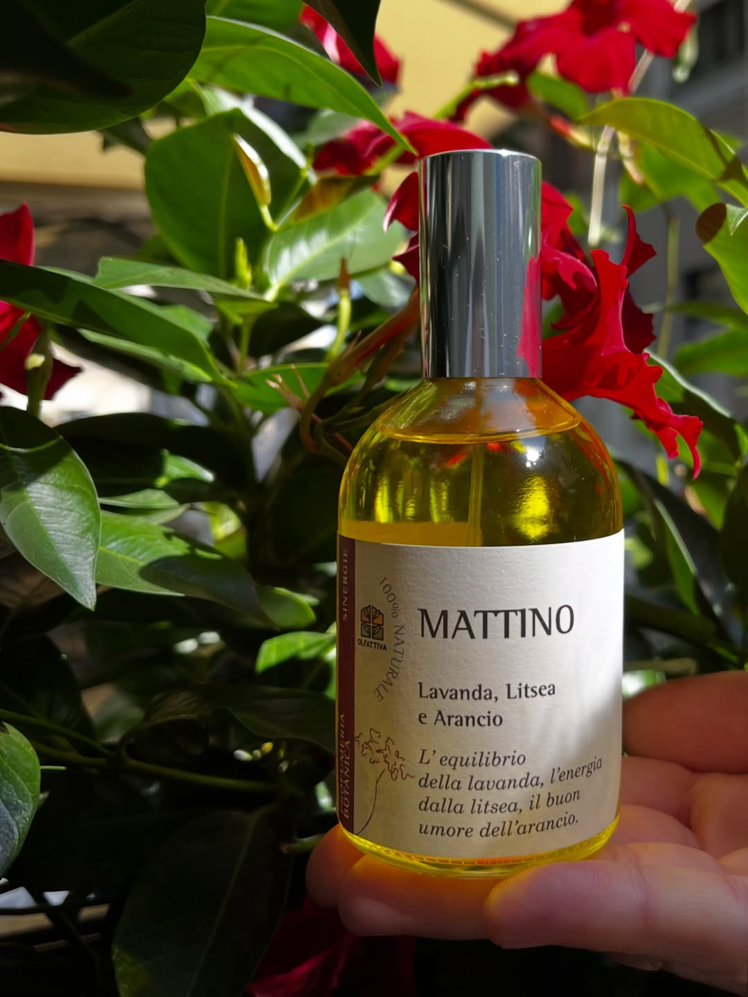 Collagene marino e acido ialuronico